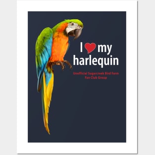 love harlequin macaw Posters and Art